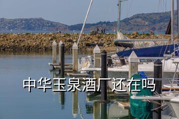 霍邱临水酒业金六福经典A6价格与销售信息
