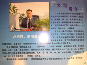 洋河酒业 中高档酒水厂家直销，品质与价值并存